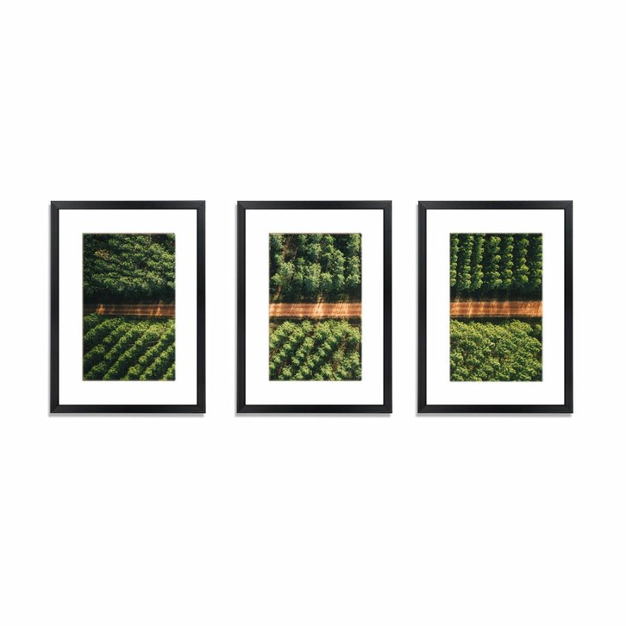 Wall Art |   3-Piece Photo Frame Wall Set A3 Picture Home Decor Art Gift Present Black Home Decor Home Decor